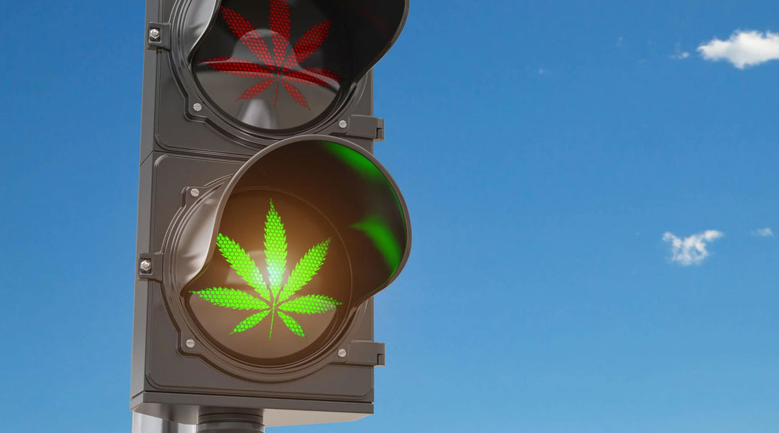 Die 10 wichtigsten Antworten (Auto fahren, Balkon, Ernte)